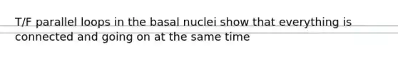 T/F parallel loops in the basal nuclei show that everything is connected and going on at the same time