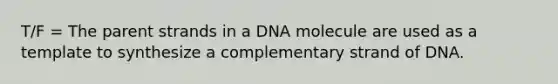 T/F = The parent strands in a DNA molecule are used as a template to synthesize a complementary strand of DNA.