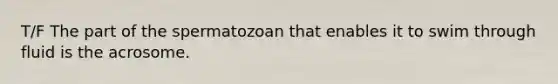 T/F The part of the spermatozoan that enables it to swim through fluid is the acrosome.