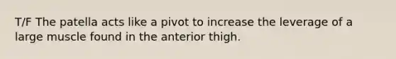 T/F The patella acts like a pivot to increase the leverage of a large muscle found in the anterior thigh.