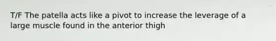 T/F The patella acts like a pivot to increase the leverage of a large muscle found in the anterior thigh