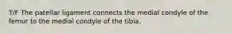 T/F The patellar ligament connects the medial condyle of the femur to the medial condyle of the tibia.