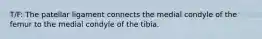 T/F: The patellar ligament connects the medial condyle of the femur to the medial condyle of the tibia.
