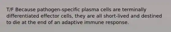 T/F Because pathogen-specific plasma cells are terminally differentiated effector cells, they are all short-lived and destined to die at the end of an adaptive immune response.