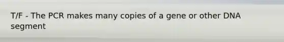 T/F - The PCR makes many copies of a gene or other DNA segment