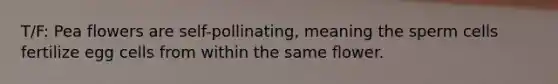 T/F: Pea flowers are self-pollinating, meaning the sperm cells fertilize egg cells from within the same flower.