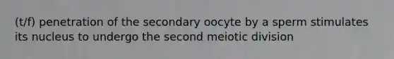 (t/f) penetration of the secondary oocyte by a sperm stimulates its nucleus to undergo the second meiotic division