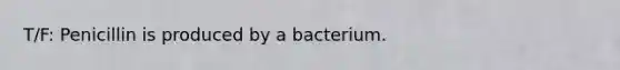 T/F: Penicillin is produced by a bacterium.