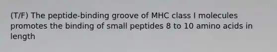 (T/F) The peptide-binding groove of MHC class I molecules promotes the binding of small peptides 8 to 10 amino acids in length