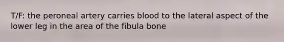 T/F: the peroneal artery carries blood to the lateral aspect of the lower leg in the area of the fibula bone