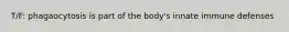 T/F: phagaocytosis is part of the body's innate immune defenses