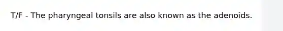 T/F - The pharyngeal tonsils are also known as the adenoids.