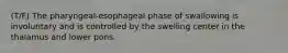 (T/F) The pharyngeal-esophageal phase of swallowing is involuntary and is controlled by the swelling center in the thalamus and lower pons.