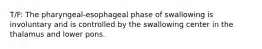 T/F: The pharyngeal-esophageal phase of swallowing is involuntary and is controlled by the swallowing center in the thalamus and lower pons.