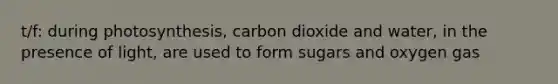 t/f: during photosynthesis, carbon dioxide and water, in the presence of light, are used to form sugars and oxygen gas