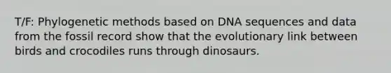 T/F: Phylogenetic methods based on DNA sequences and data from the fossil record show that the evolutionary link between birds and crocodiles runs through dinosaurs.