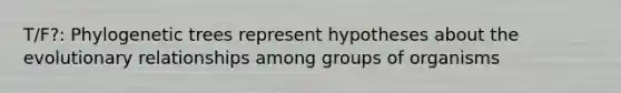 T/F?: Phylogenetic trees represent hypotheses about the evolutionary relationships among groups of organisms