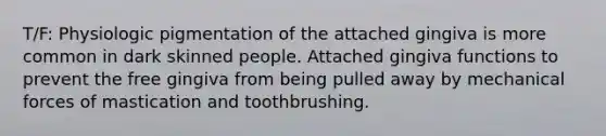 T/F: Physiologic pigmentation of the attached gingiva is more common in dark skinned people. Attached gingiva functions to prevent the free gingiva from being pulled away by mechanical forces of mastication and toothbrushing.