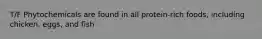 T/F Phytochemicals are found in all protein-rich foods, including chicken, eggs, and fish
