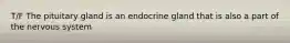 T/F The pituitary gland is an endocrine gland that is also a part of the nervous system