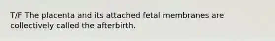 T/F The placenta and its attached fetal membranes are collectively called the afterbirth.