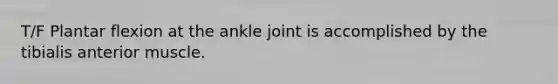 T/F Plantar flexion at the ankle joint is accomplished by the tibialis anterior muscle.