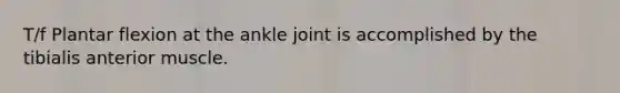 T/f Plantar flexion at the ankle joint is accomplished by the tibialis anterior muscle.