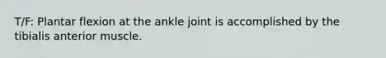 T/F: Plantar flexion at the ankle joint is accomplished by the tibialis anterior muscle.