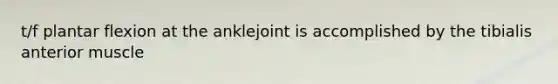 t/f plantar flexion at the anklejoint is accomplished by the tibialis anterior muscle
