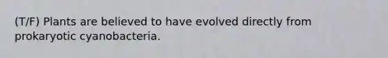 (T/F) Plants are believed to have evolved directly from prokaryotic cyanobacteria.