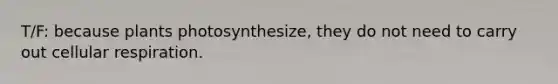 T/F: because plants photosynthesize, they do not need to carry out <a href='https://www.questionai.com/knowledge/k1IqNYBAJw-cellular-respiration' class='anchor-knowledge'>cellular respiration</a>.