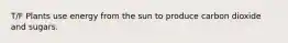 T/F Plants use energy from the sun to produce carbon dioxide and sugars.