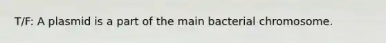 T/F: A plasmid is a part of the main bacterial chromosome.