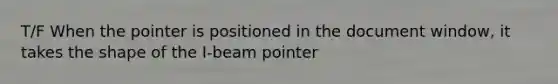 T/F When the pointer is positioned in the document window, it takes the shape of the I-beam pointer