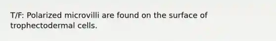T/F: Polarized microvilli are found on the surface of trophectodermal cells.