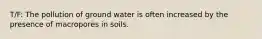 T/F: The pollution of ground water is often increased by the presence of macropores in soils.