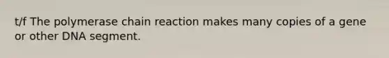 t/f <a href='https://www.questionai.com/knowledge/k3XMQtqoRf-the-polymerase-chain-reaction' class='anchor-knowledge'>the polymerase chain reaction</a> makes many copies of a gene or other DNA segment.