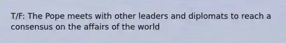 T/F: The Pope meets with other leaders and diplomats to reach a consensus on the affairs of the world