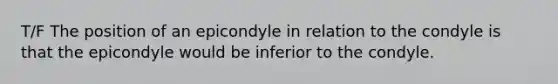 T/F The position of an epicondyle in relation to the condyle is that the epicondyle would be inferior to the condyle.