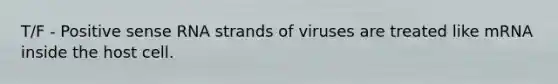 T/F - Positive sense RNA strands of viruses are treated like mRNA inside the host cell.