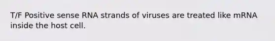 T/F Positive sense RNA strands of viruses are treated like mRNA inside the host cell.