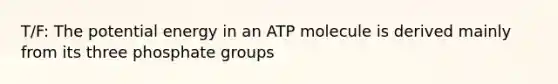 T/F: The potential energy in an ATP molecule is derived mainly from its three phosphate groups