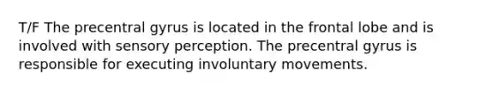 T/F The precentral gyrus is located in the frontal lobe and is involved with sensory perception. The precentral gyrus is responsible for executing involuntary movements.