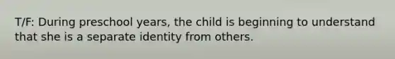 T/F: During preschool years, the child is beginning to understand that she is a separate identity from others.