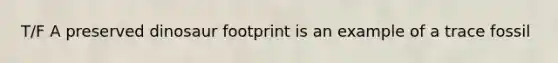 T/F A preserved dinosaur footprint is an example of a trace fossil