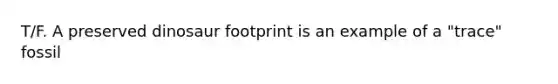 T/F. A preserved dinosaur footprint is an example of a "trace" fossil