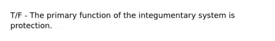 T/F - The primary function of the integumentary system is protection.