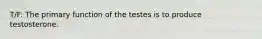 T/F: The primary function of the testes is to produce testosterone.