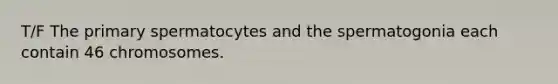 T/F The primary spermatocytes and the spermatogonia each contain 46 chromosomes.