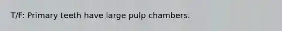 T/F: Primary teeth have large pulp chambers.